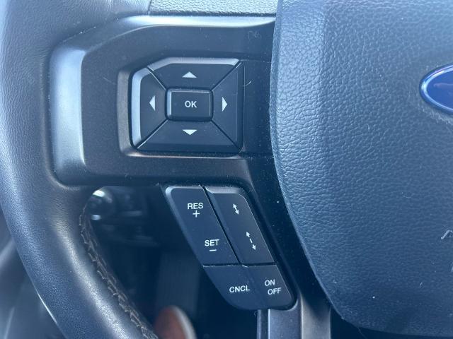 Used 2019 Magnetic Ford  image 28
