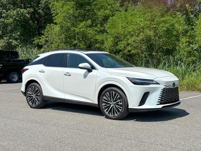 2024 Lexus RX