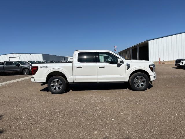 New 2026 Star White Metallic Tri-Coat Ford Platinum image 60